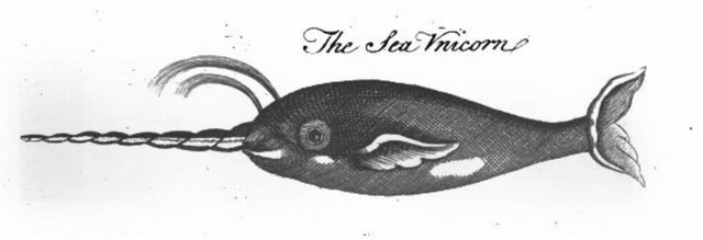 File:Pierre Pomet Sea Unicorn.png