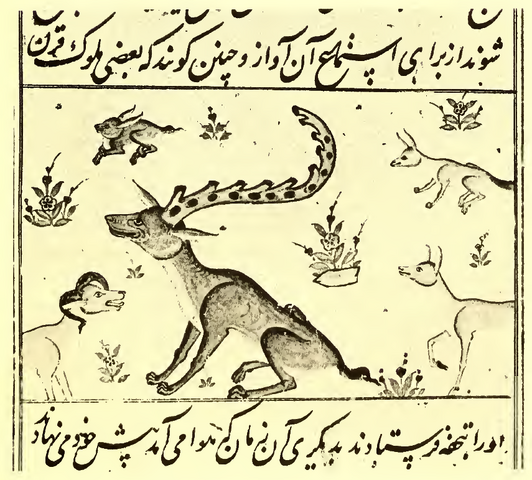 File:Shadhavar Batty manuscript.png