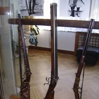 Henry Rifle Bear Hunter Rifle And Silver Rifle Karl May Wiki Fandom