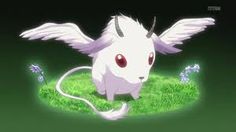 Niji