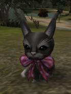 139px-Cat01