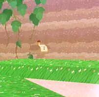 Jungle Walking