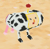 Daisy