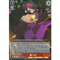 95300.jpg.l thumbnail