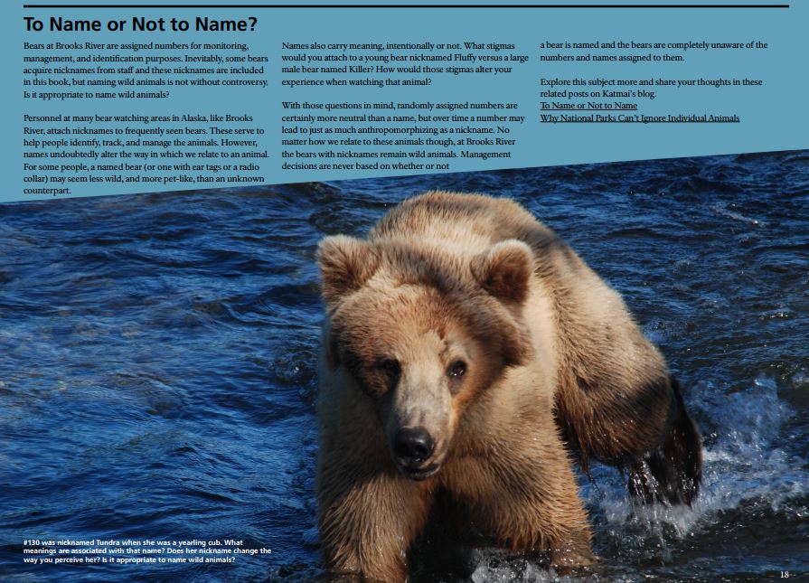 Brown Bears of Brooks River How They Got Their Nickname Katmai