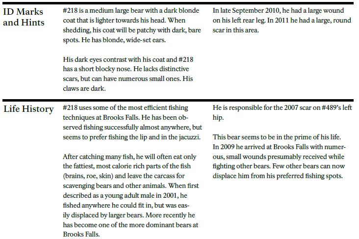 218 Ugly Katmai Bearcams Wiki Fandom