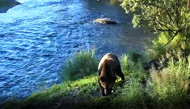 Riverrock walker