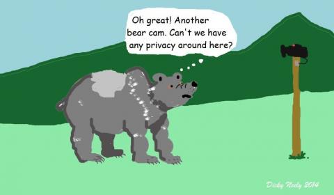 Dicky Neely bearcam