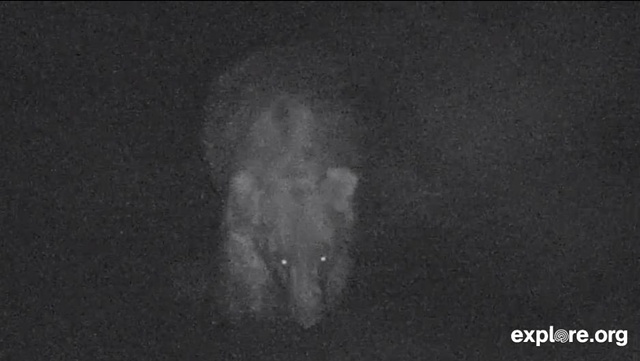 Night vision 2 shanta