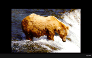EVANDER 234 GIF NPS PHOTOS 2012 BoBr iBOOK XANDER-SAGE CREATED 2019.05.07