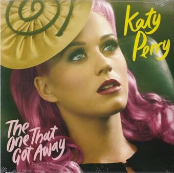 The One That Got Away Song The Katy Perry Wiki Fandom