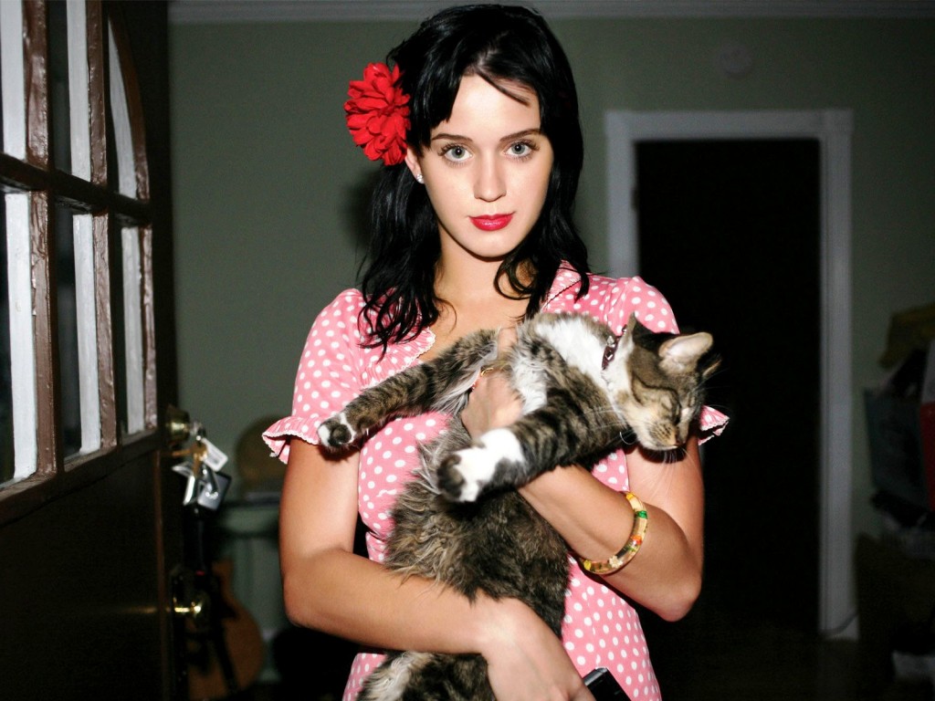 Kitty Purry The Katy Perry Wiki Fandom