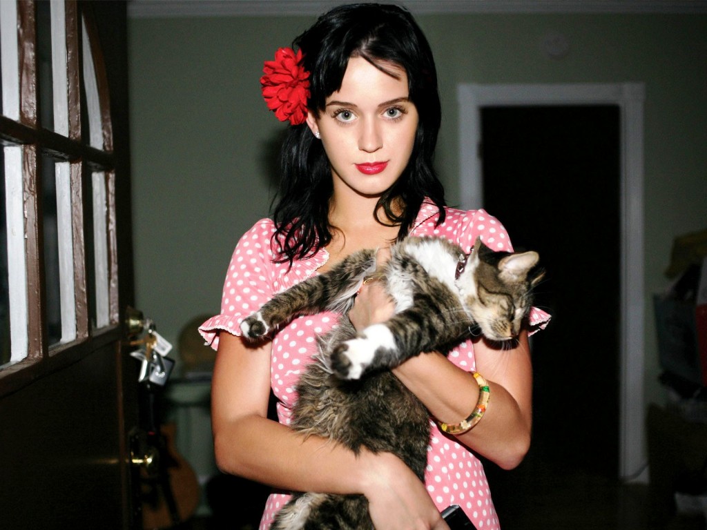 Kitty Purry The Katy Perry Wiki Fandom Powered By Wikia 6266