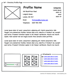 Profilewireframe