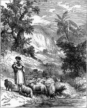 Foster Bible Pictures 0045-1 A Shepherd
