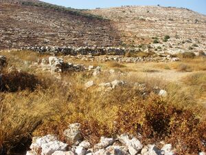 Tel Shiloh