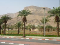 P1020481