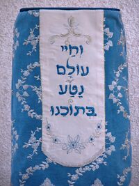 Sefer Torah Ventura 1