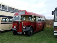 Bertie'sbasis