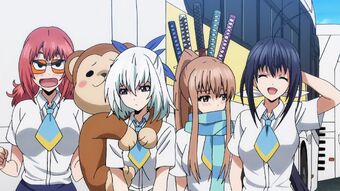 Get Wallpaper Kazane Aoba Keijo Wiki Fandom Free HD
