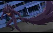 Kouya-stand
