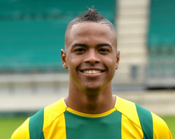 Ricardo Schepers