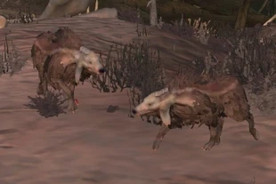 Boneyard Wolf | Kenshi Wiki | FANDOM powered by Wikia