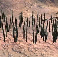 Cactus Farm Kenshi Wiki Fandom