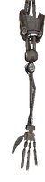 Skeleton Arm (right)