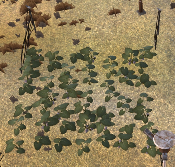 Vegetable Farm Kenshi Wiki Fandom