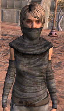 NinjaRags