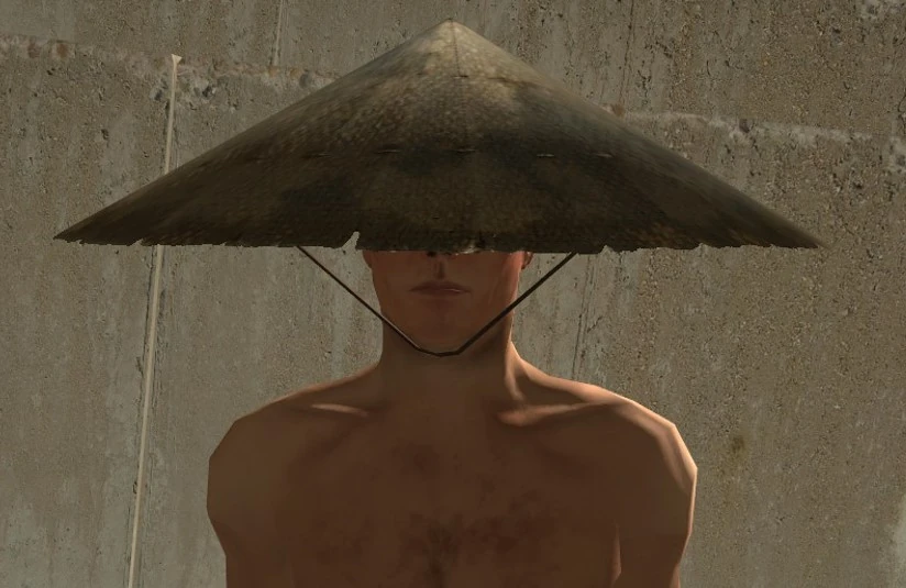 Straw Hat Kenshi Wiki Fandom