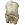 Human Teeth