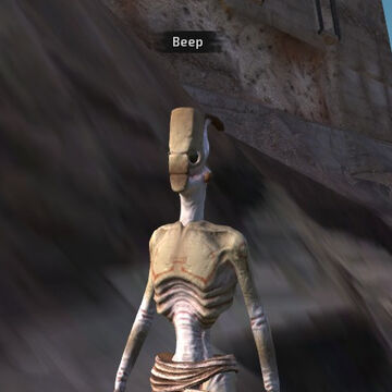 Beep Kenshi Wiki Fandom,Full Screen Ultra Hd Hd Wallpapers 1080p For Android Phone