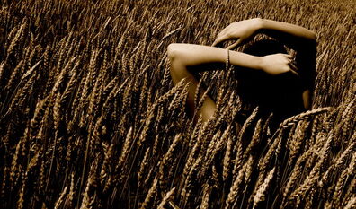 Shoulder wheat
