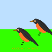 Contest-Ecological Interactions