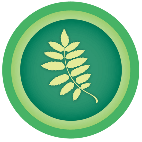 File:Sequoia-512x512.png