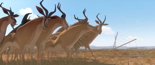 File:Springboks2.jpg