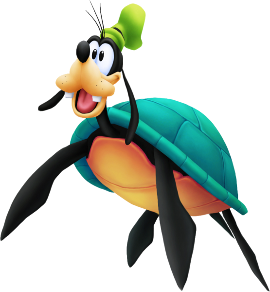 PIPPO TARTARUGA