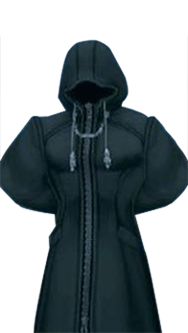 Xaldin---org-3