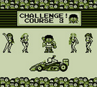 Pit en F-1 Race