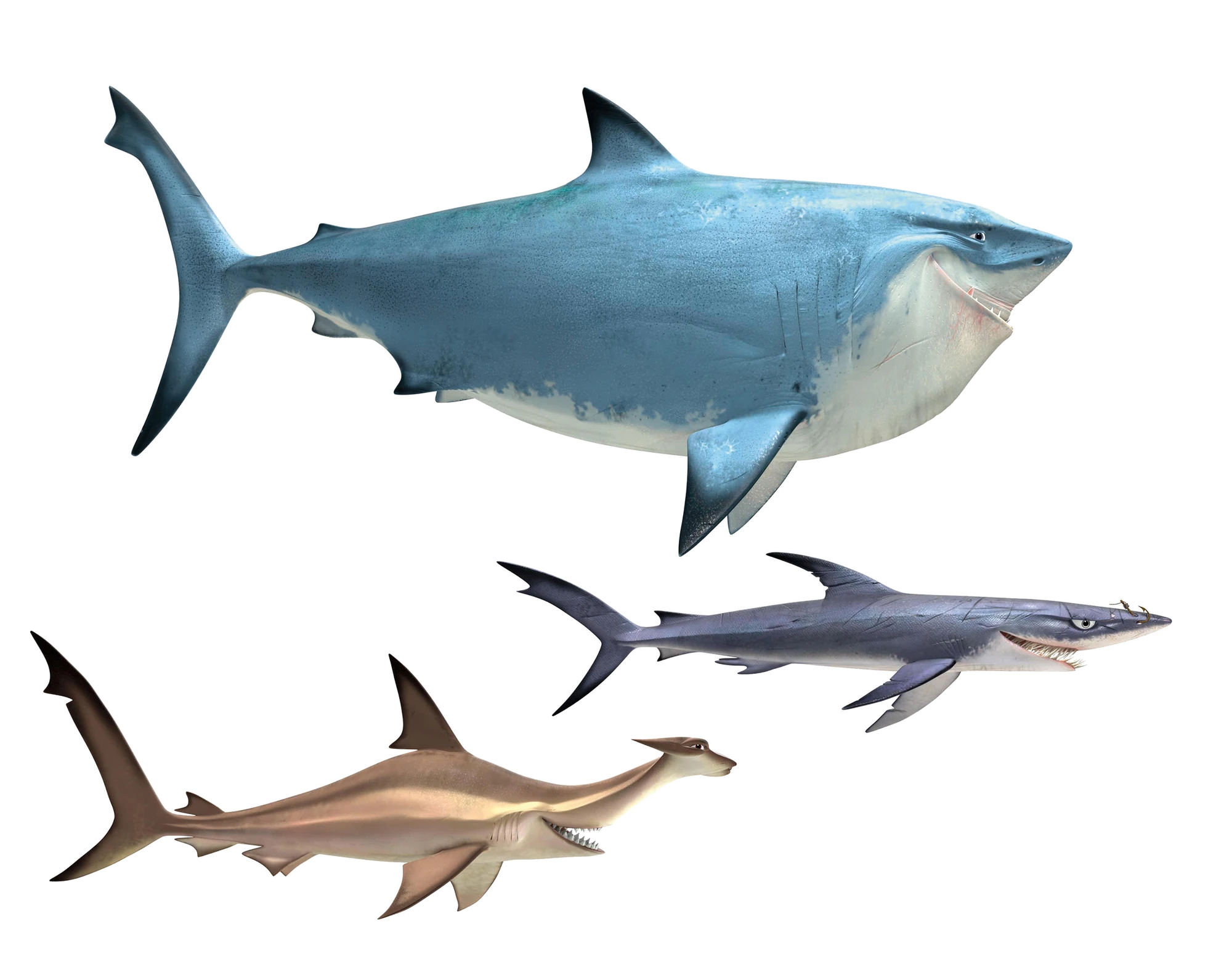 Image Bruce Anchor & Chum.png KidPedia Wikia FANDOM powered by Wikia