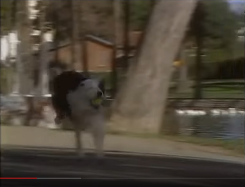 I Got Wheels Kidsongs Wiki Fandom