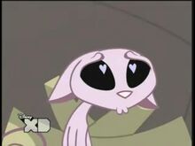 Cute mr kat