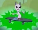 Kitten board