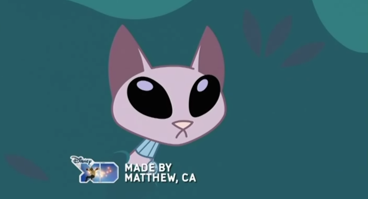 Cid cat
