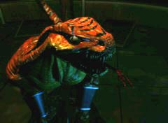 Ki riptor mov
