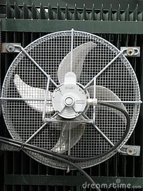 1223372815lZRr40.jpg (73 KB) 1223372815lZRr40