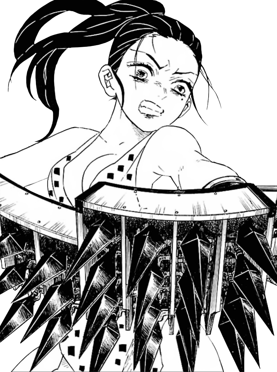 Hinatsuru | Kimetsu no Yaiba Wikia | Fandom