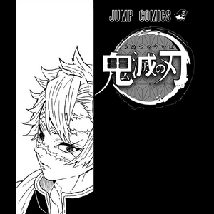Volume 13 Kimetsu No Yaiba Wikia Fandom